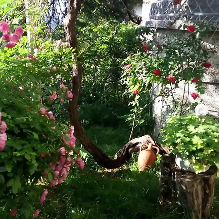 Case de vacanță Belivanovi House