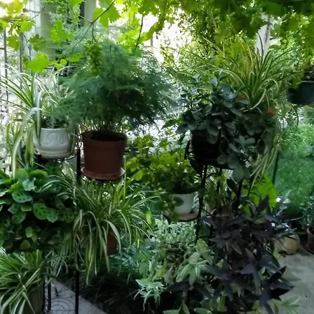 Belivanovi House Holiday home