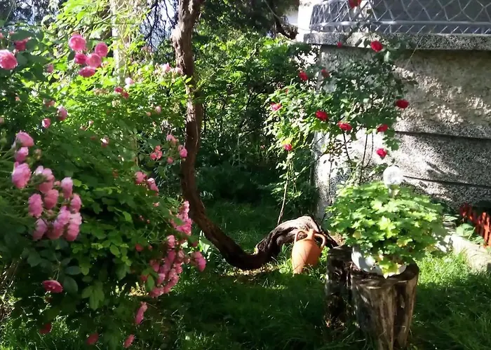 Case de vacanță Belivanovi House