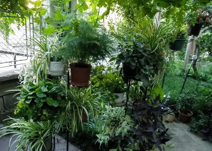 Belivanovi House Case de vacanță